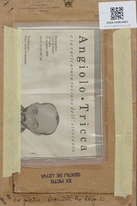 TRICCA ANGIOLO (1817 - 1884) : SENZA TITOLO  - Asta Asta 499 | ARTE MODERNA E CONTEMPORANEA Virtuale - Associazione Nazionale - Case d'Asta italiane