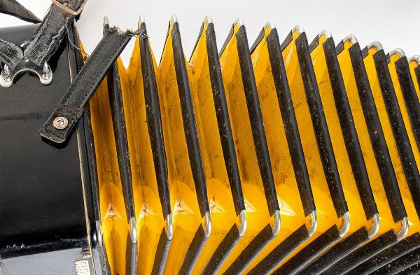 Fisarmonica con decorazioni dell'asse Castelfidardo  - Asta Memorabilia, Militaria, Ordini Cavallereschi - Associazione Nazionale - Case d'Asta italiane