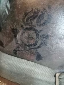 Elmetto MK 2 da bersagliere del CIL  - Asta Memorabilia, Militaria, Ordini Cavallereschi - Associazione Nazionale - Case d'Asta italiane