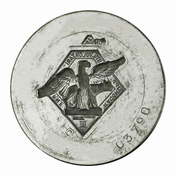 N Raggrupp Bgt Volontari PN F 62 x 51 mm  - Asta Conii e Punzoni della Storica Fabbrica di Medaglie Lorioli (1919-1950) - Associazione Nazionale - Case d'Asta italiane