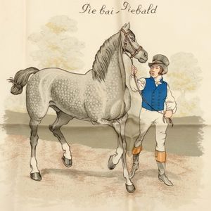 Hermes Carr Les Robes  - Asta Fashion Vintage - Associazione Nazionale - Case d'Asta italiane