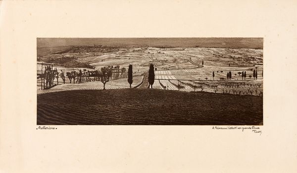 Giuseppe Viner : �Gestazione� e �Fecondazione�  - Asta PARADE II - Dipinti e Disegni del XIX e XX secolo - Associazione Nazionale - Case d'Asta italiane