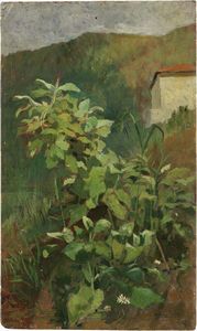 Eugenio Cecconi - Angolo di giardino