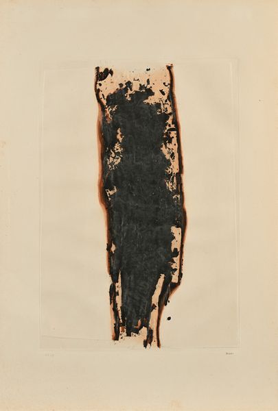 Alberto Burri : Combustione  - Asta Grafica internazionale e multipli d'autore  - Associazione Nazionale - Case d'Asta italiane