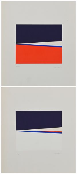 Carmen Gloria Morales : Lotto di due serigrafie  - Asta Grafica internazionale e multipli d'autore  - Associazione Nazionale - Case d'Asta italiane