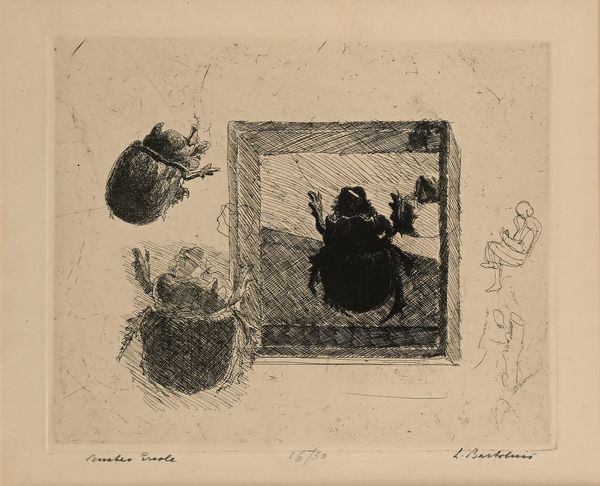 Luigi Bartolini : Scarabeo Ercole  - Asta Grafica internazionale e multipli d'autore  - Associazione Nazionale - Case d'Asta italiane