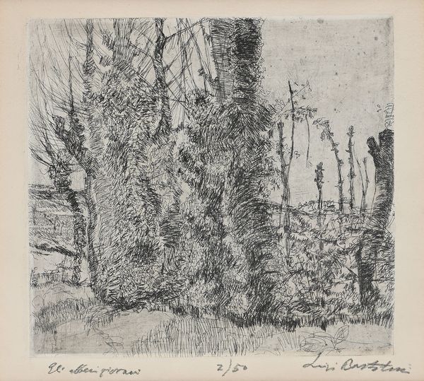 Luigi Bartolini : Gli alberi giovani  - Asta Grafica internazionale e multipli d'autore  - Associazione Nazionale - Case d'Asta italiane