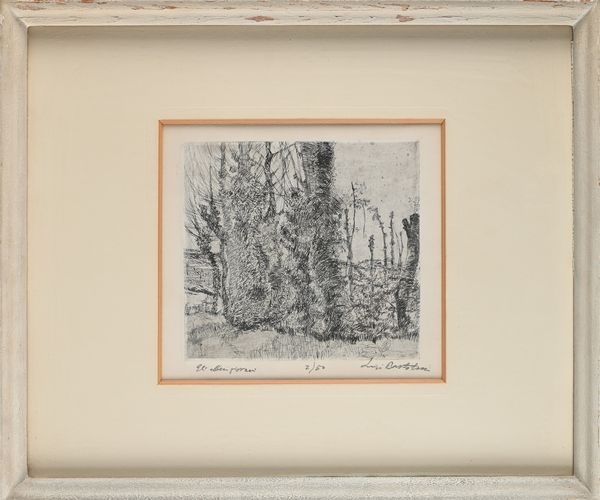 Luigi Bartolini : Gli alberi giovani  - Asta Grafica internazionale e multipli d'autore  - Associazione Nazionale - Case d'Asta italiane