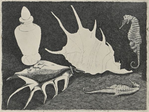 LINO BIANCHI BARRIVIERA : Conchiglie e cavallucci marini  - Asta Grafica internazionale e multipli d'autore  - Associazione Nazionale - Case d'Asta italiane