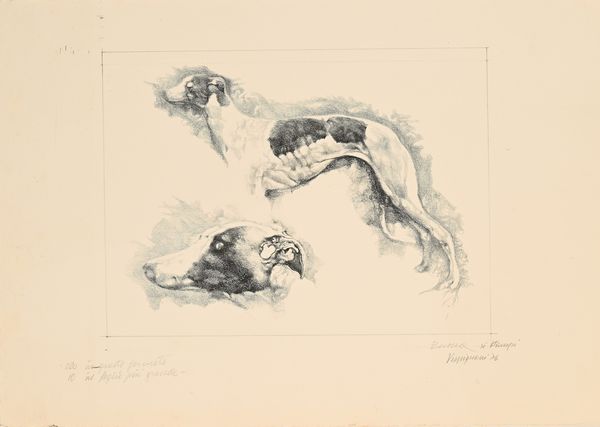 Renzo Vespignani : Levriero  - Asta Grafica internazionale e multipli d'autore  - Associazione Nazionale - Case d'Asta italiane