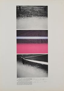 LUCA MARIA PATELLA - Senza titolo (Terra Animata)