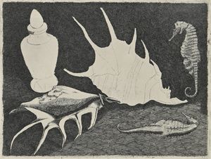 LINO BIANCHI BARRIVIERA - Conchiglie e cavallucci marini