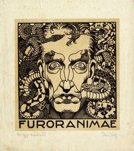 DARIO WOLF - Furor Animae.