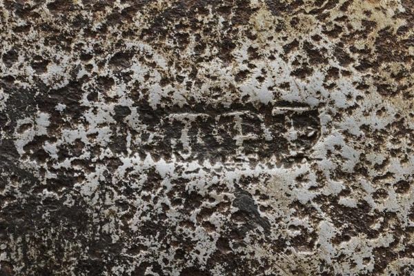 Ascia  - Asta La Collezione di Armi Antiche di un Gentiluomo Californiano - Associazione Nazionale - Case d'Asta italiane