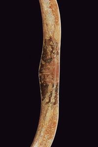 Raro arco dipinto a mano  - Asta La Collezione di Armi Antiche di un Gentiluomo Californiano - Associazione Nazionale - Case d'Asta italiane