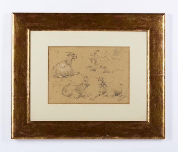 PALIZZI FILIPPO (1818 - 1899) : Attribuito a. Studi di capre  - Asta Asta 502 | ARTE ANTICA E DEL XIX SECOLO Online - Associazione Nazionale - Case d'Asta italiane