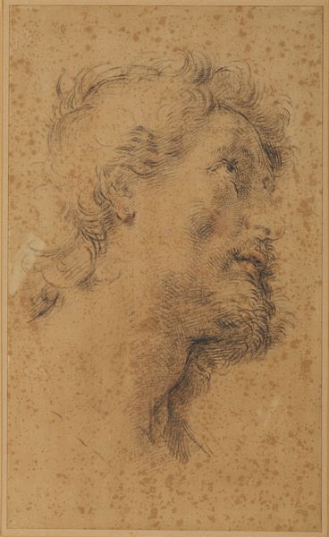 ARTISTA GENOVESE DEL XVII SECOLO : Studio della testa di San Crispino  - Asta Asta 502 | ARTE ANTICA E DEL XIX SECOLO Online - Associazione Nazionale - Case d'Asta italiane