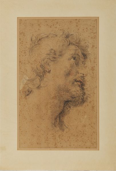 ARTISTA GENOVESE DEL XVII SECOLO : Studio della testa di San Crispino  - Asta Asta 502 | ARTE ANTICA E DEL XIX SECOLO Online - Associazione Nazionale - Case d'Asta italiane