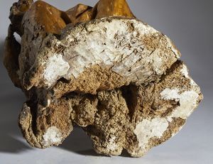 SCULTORE LIGURE DELLA MET DEL XVII SECOLO : Madonna del Carmine  - Asta Asta 502 | ARTE ANTICA E DEL XIX SECOLO Online - Associazione Nazionale - Case d'Asta italiane