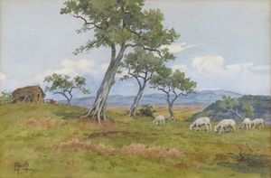 ANIVITTI FILIPPO (1876 - 1955) - Gregge nella Campagna romana