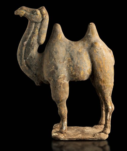 Figura di cammello in terracotta con tracce di policromia, Cina, Dinastia Tang (618-906)  - Asta Fine Asian Works of Art - Associazione Nazionale - Case d'Asta italiane