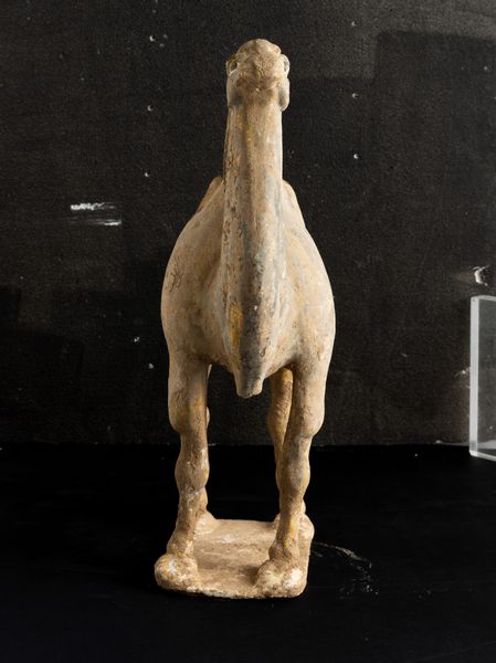 Figura di cammello in terracotta con tracce di policromia, Cina, Dinastia Tang (618-906)  - Asta Fine Asian Works of Art - Associazione Nazionale - Case d'Asta italiane