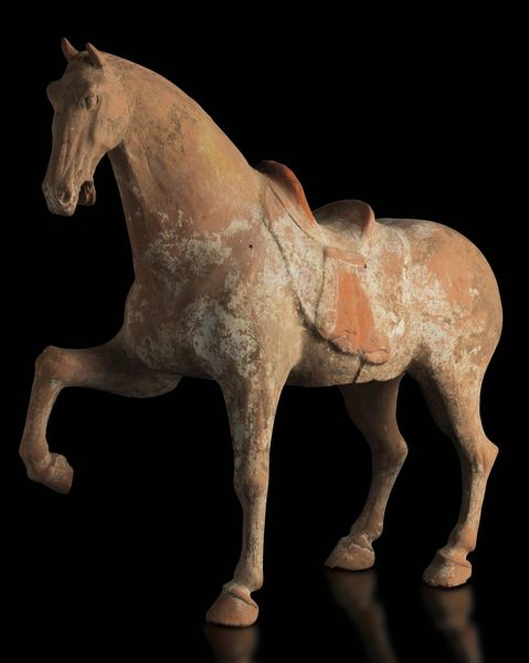 Figura di cavallo in terracotta con tracce di policromia, Cina, Dinastia Tang (618-906)  - Asta Fine Asian Works of Art - Associazione Nazionale - Case d'Asta italiane