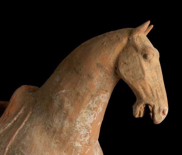 Figura di cavallo in terracotta con tracce di policromia, Cina, Dinastia Tang (618-906)  - Asta Fine Asian Works of Art - Associazione Nazionale - Case d'Asta italiane