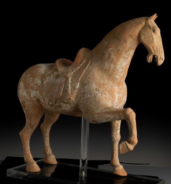 Figura di cavallo in terracotta con tracce di policromia, Cina, Dinastia Tang (618-906)  - Asta Fine Asian Works of Art - Associazione Nazionale - Case d'Asta italiane