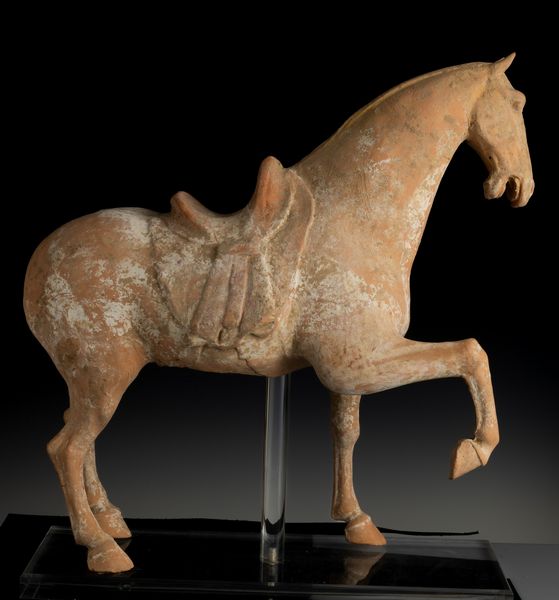 Figura di cavallo in terracotta con tracce di policromia, Cina, Dinastia Tang (618-906)  - Asta Fine Asian Works of Art - Associazione Nazionale - Case d'Asta italiane