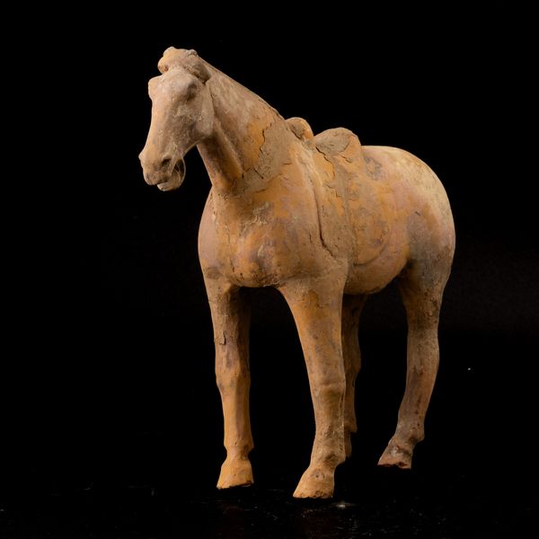 Figura di cavallo in terracotta con tracce di monocromia, Cina, probabilmente Dinastia Tang (618-907)  - Asta Fine Asian Works of Art - Associazione Nazionale - Case d'Asta italiane