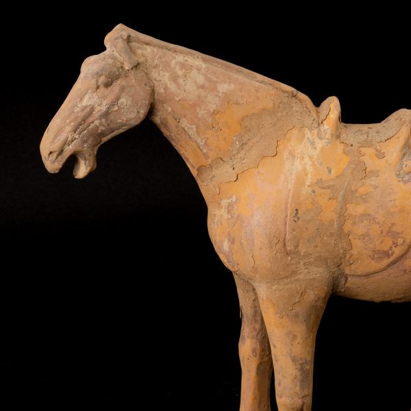 Figura di cavallo in terracotta con tracce di monocromia, Cina, probabilmente Dinastia Tang (618-907)  - Asta Fine Asian Works of Art - Associazione Nazionale - Case d'Asta italiane