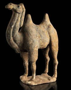Figura di cammello in terracotta con tracce di policromia, Cina, Dinastia Tang (618-906)  - Asta Fine Asian Works of Art - Associazione Nazionale - Case d'Asta italiane