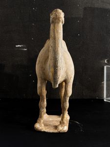 Figura di cammello in terracotta con tracce di policromia, Cina, Dinastia Tang (618-906)  - Asta Fine Asian Works of Art - Associazione Nazionale - Case d'Asta italiane