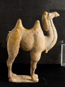 Figura di cammello in terracotta con tracce di policromia, Cina, Dinastia Tang (618-906)  - Asta Fine Asian Works of Art - Associazione Nazionale - Case d'Asta italiane