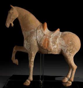 Figura di cavallo in terracotta con tracce di policromia, Cina, Dinastia Tang (618-906)  - Asta Fine Asian Works of Art - Associazione Nazionale - Case d'Asta italiane