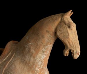 Figura di cavallo in terracotta con tracce di policromia, Cina, Dinastia Tang (618-906)  - Asta Fine Asian Works of Art - Associazione Nazionale - Case d'Asta italiane