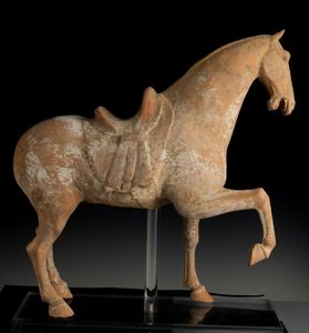 Figura di cavallo in terracotta con tracce di policromia, Cina, Dinastia Tang (618-906)  - Asta Fine Asian Works of Art - Associazione Nazionale - Case d'Asta italiane