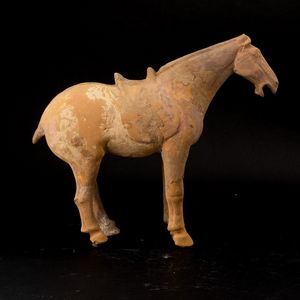Figura di cavallo in terracotta con tracce di monocromia, Cina, probabilmente Dinastia Tang (618-907)  - Asta Fine Asian Works of Art - Associazione Nazionale - Case d'Asta italiane