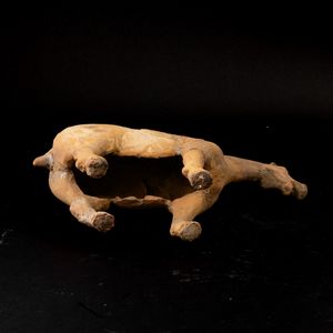 Figura di cavallo in terracotta con tracce di monocromia, Cina, probabilmente Dinastia Tang (618-907)  - Asta Fine Asian Works of Art - Associazione Nazionale - Case d'Asta italiane