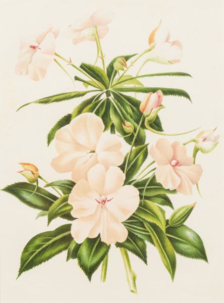 Lotto composto da quattro stampe a soggetto botanico  - Asta Incanti d'Arte - Associazione Nazionale - Case d'Asta italiane