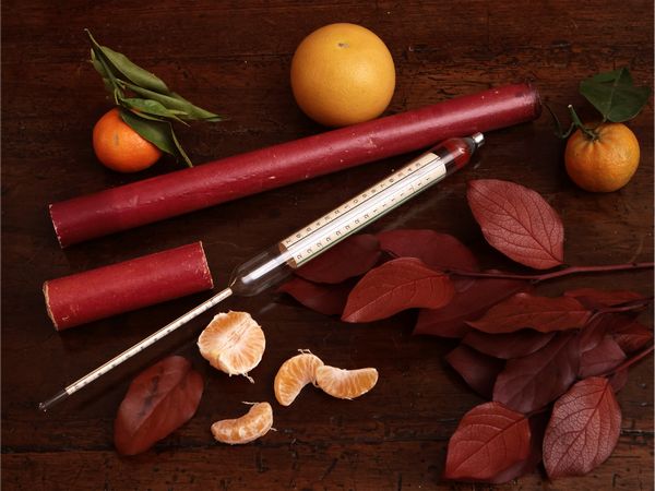 Alcolometro  - Asta Due case fiorentine - Associazione Nazionale - Case d'Asta italiane