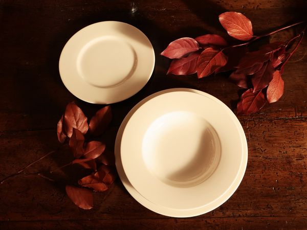 Servizio di piatti in porcellana, Villeroy & Boch  - Asta Due case fiorentine - Associazione Nazionale - Case d'Asta italiane