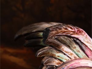 Grande gallo in ceramica policroma  - Asta Due case fiorentine - Associazione Nazionale - Case d'Asta italiane