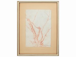 Marcello Tommasi - Ulivo e Cavallo