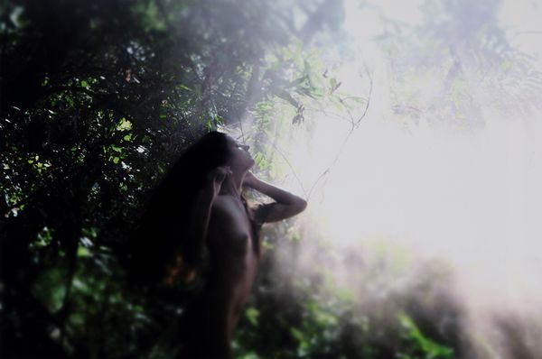 Claudio Argentiero : Corpo e natura  - Asta Fotografia: Unveiled Beauty - Associazione Nazionale - Case d'Asta italiane