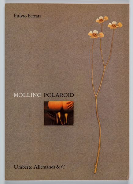 CARLO MOLLINO : Mollino Polaroid  - Asta Fotografia: Unveiled Beauty - Associazione Nazionale - Case d'Asta italiane