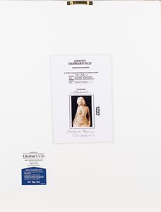 Gianfranco Salis : Ilona Staller  - Asta Fotografia: Unveiled Beauty - Associazione Nazionale - Case d'Asta italiane