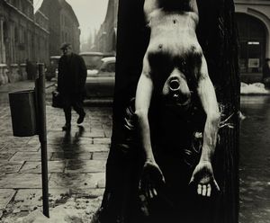 Wojciech Plewinski - Senza titolo