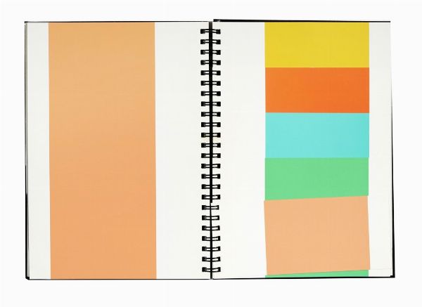 Daniel Buren : Rpertoire.  - Asta Libri, autografi e manoscritti - Associazione Nazionale - Case d'Asta italiane